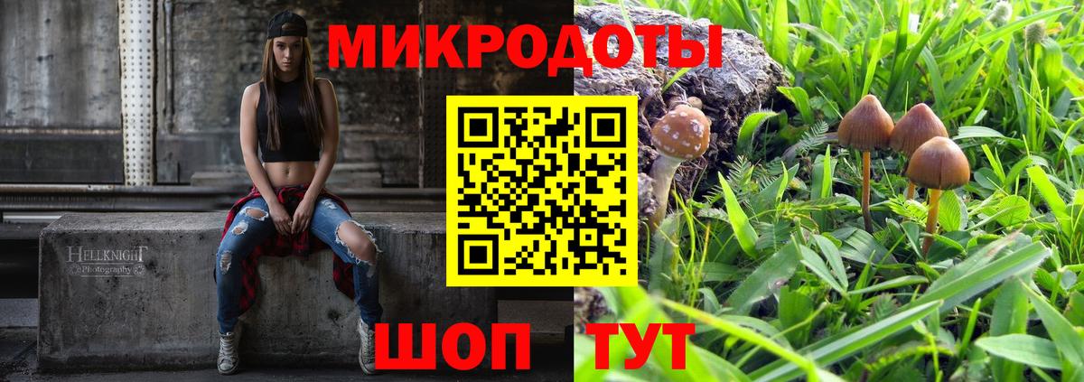 Псилоцибиновые грибы Psilocybine cubensis  Вход с VPN  Кимовск 